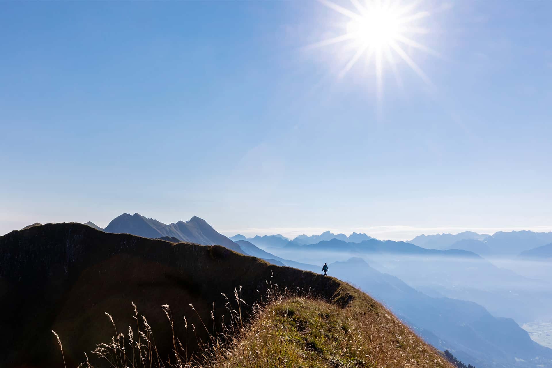Biodiversité des milieux alpins